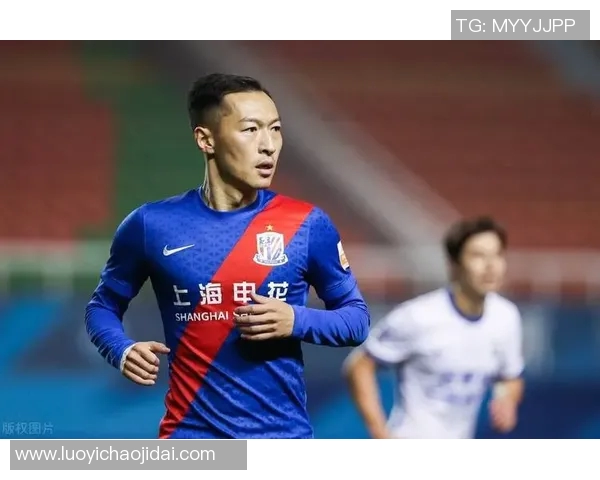 足球明星为何在巅峰时刻遭遇职业生涯的重大挫折与毁灭性打击分析